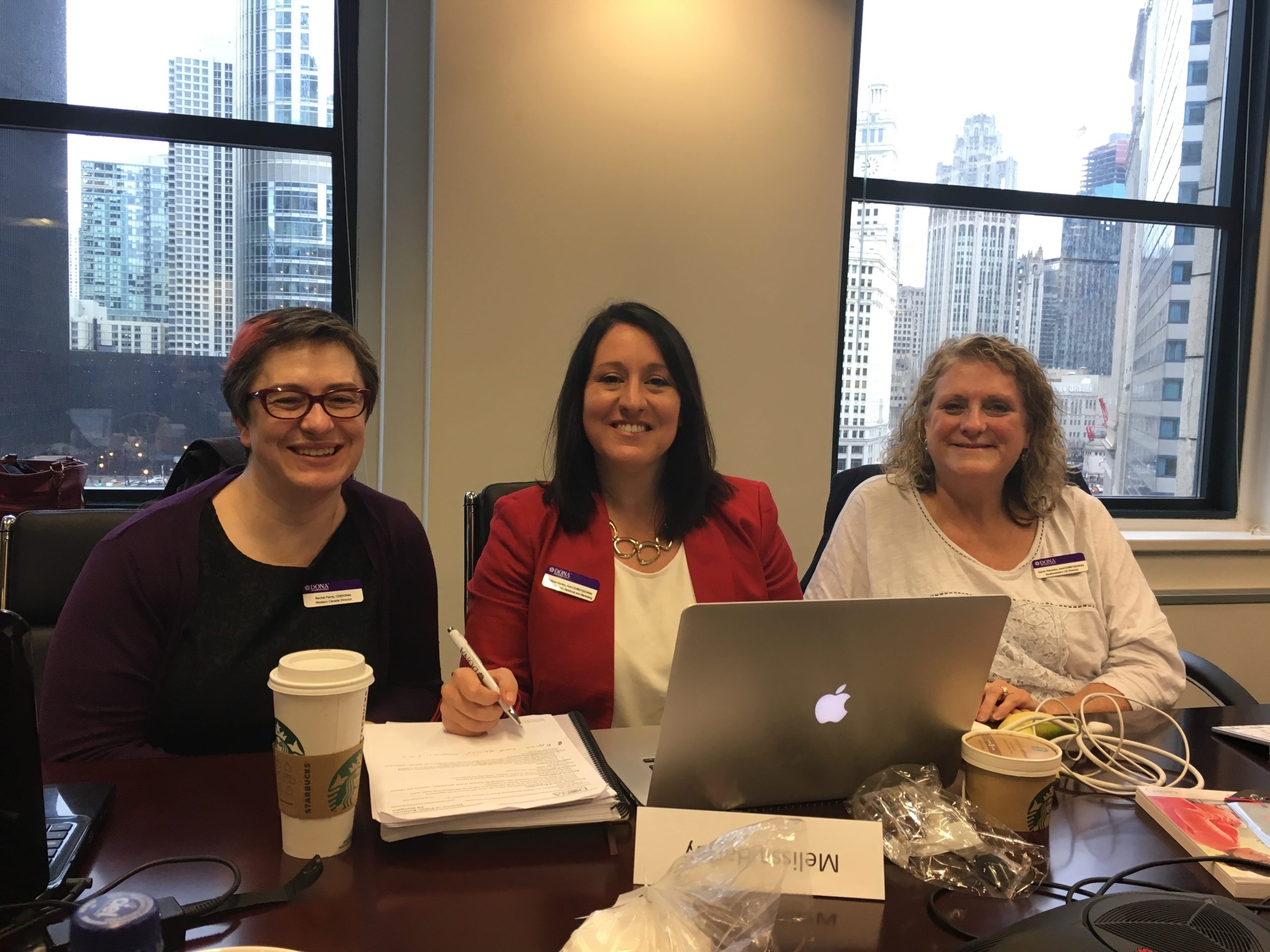 Melissa at the DONA International board table